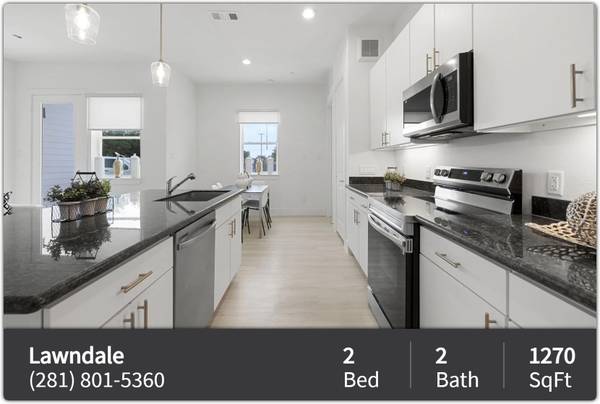 $1,500 / 2br - 1270ft2 - Check out sparkling new 2 BR / 2 BA in Houston! (Houston)63906678658050120