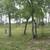 Tiny House / RV Living in Bastrop (RV#6) 4 thumbnail