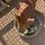 Kunekune Boar 1 thumbnail