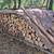 Firewood- mostly Elm- covered and dry 4 thumbnail