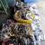 Vintage Lot Sale: Hard to find - Road Bicycle - Rare Vintage Parts 3 thumbnail