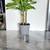 32 inches tall green plant in a ceramic planter 1 thumbnail