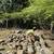 MENDEZ LANDSCAPING SERVICES, LLC.  YARD WORK & MASONRY 10 thumbnail