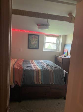 $1,920 / 1br - 550ft2 - 1bdrm Garden apt all inclusive w pet friendly backyard (Newton Center)63690775391105122