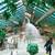 Timeshare - Westgate Smoky Mountain Resort & Water Park 2 thumbnail