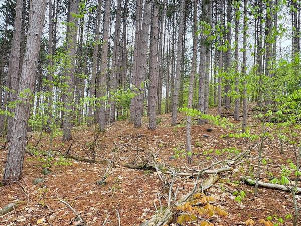 $32,700 / 91040ft2 - 2.09 Acres Near Schuss Mountain Resort! (Bellaire)64037724695809124