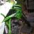 Kawasaki 85 8 thumbnail
