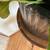 Peace-Lily, Plant Stand w/drawers, and Pottery ‘Water-catch’ Platter 8 thumbnail
