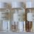 RARE PhD ENTOMOLOGIST Wet Specimen Science Insect Bug Collection 10 thumbnail