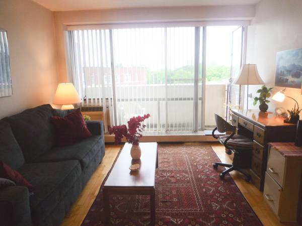 $2,800 / 1br - 500ft2 - Avl SEP 15 - Fully-Furnished Sunny 1BR - Utils Incl - Walk to HARVARD! (Harvard Square, Cambridge MA)63699469259521122