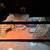 Rehoming bearded dragon Female 1 thumbnail