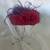 (3) Elegant Red Hat Society Red and Purple Ladies Hat 12 thumbnail
