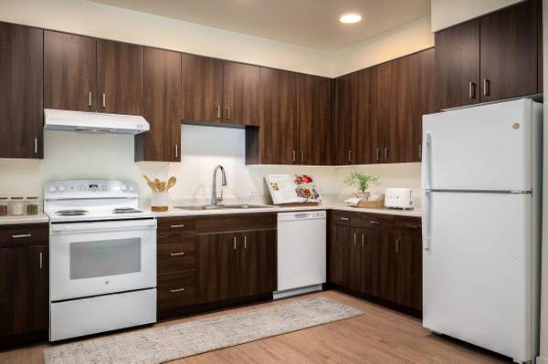$1,317 / 1br - 504ft2 - Distribuciones abiertas, estacionamiento fuera de la calle, almacenamiento para bicicletas63820795720705120