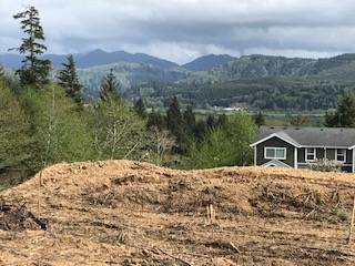 $350,000 Seller Carry - Nehalem OR - Juego de desarrollo - ¡¡¡16 lotes!!! (Nehalem, OR)63831607151363122