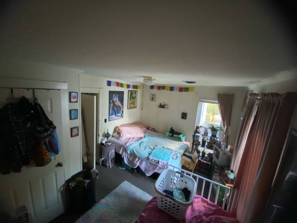 $900 / 1br - 1 BDR Apt. For rent!! (Salisbury)63839298739073121