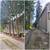 Removal of dangerous or regular trees - Contact Us 14 thumbnail