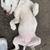 pit bull rehome 2 thumbnail