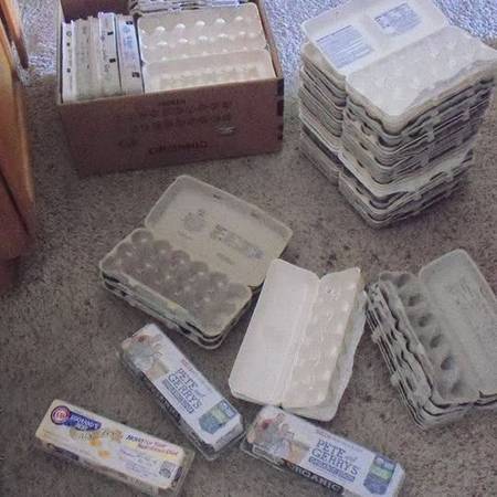 ASSORTED EMPTY USED EGG CARTONS $.25 each 1