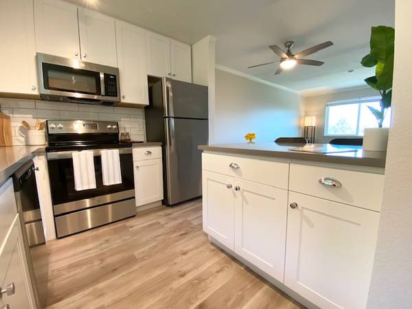 $2,500 / 1br - 698ft2 - 🏡 1 & 2 Bedroom Apartments in San Rafael Starting at $2,500! (san rafael)63928409136643122