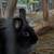 Rabbit Rabbits Bunny Bunnies Conejo Conejito 2 thumbnail