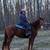 Elsie- chestnut tb mare 5 thumbnail