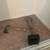 Carpet installation, repairs and removal 8 thumbnail