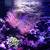 Aquarium and Pond Maintenance and supplies 15 thumbnail