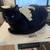 Senior chill cat needs new home 9 thumbnail