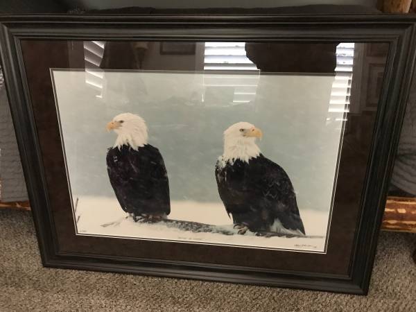 Bald Eagle, framed, nice!! 1