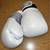 Fight Camp Boxing gloves 1 thumbnail