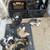 Community cat/Kittens 1 thumbnail