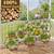 Firm Price! Brand New in a Box Wooden Plant Stand, READ THE AD! 4 thumbnail