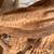 Peruvian Nativity Set  made of Terracotta by Arcadio Choque Pucora 3 thumbnail