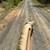 2008 model Palomino Mare 4 thumbnail