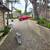 💯% PERFECT VACCUMED GUTTER CLEANINGS PEBBLE BEACH 23 thumbnail