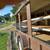 6 1/2' x 12' Tandem Trailer Utility flat bed or vending Heavy Duty 4 thumbnail