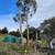 Tree service/landscaping/tractor service,Carmel valley valley,Salinas 2 thumbnail