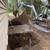 Post hole drilling - Grading- Trenching- Excavation 4 thumbnail
