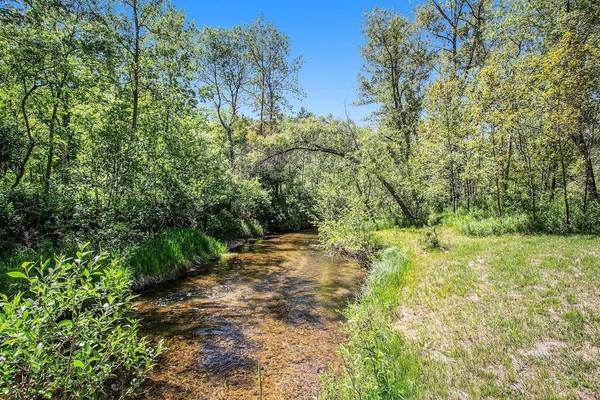 $259,900 Charming cabin on the Pere Marquette River!! 2.07 Acres (Idlewild)64037723885699121