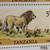 1985 Stamps TANZANIA LION SIMBA (Panthera Leo) 1 thumbnail