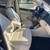 2016 Volkswagen Tiguan S 10 thumbnail