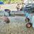 Skeet thrower on wheels uses 2in ball hook to truck or 4 wheeler 1 thumbnail