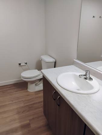 $855 / 2br - Una habitación en alquiler (Redmond)63659679728259123