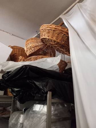 WANNA BE A BASKET CASE?! 1