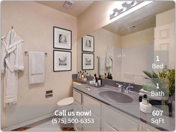 $1,010 / 1br - 607ft2 - Stay cool with in-unit ceiling fans! Now renting at Park Place! (Las Cruces - Near NMSU)63861849748227122