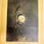 Rare Odilon Redon 1923 Book by Andre Mellerio 13 thumbnail
