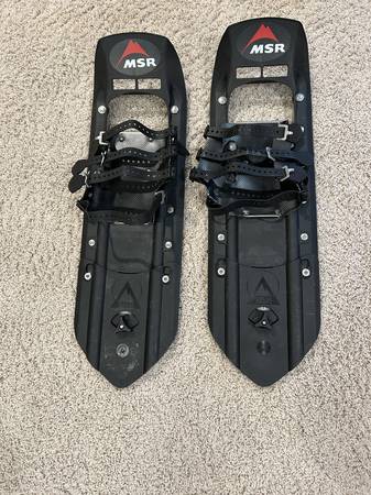 Snowshoes 1