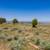 5585 Bench Rd. Beryl, UT 84714, 20 Acres **Price Reduced** 18 thumbnail