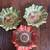 Christmas vtg.Bunter Teller W.Germany star shaped paper bowls X 3 st.@ 1 thumbnail