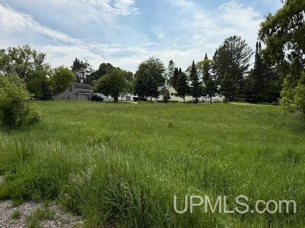$15,000 0.33 Acres vacant lot MLS 50178507 (Florence T-WI)64151608854529124